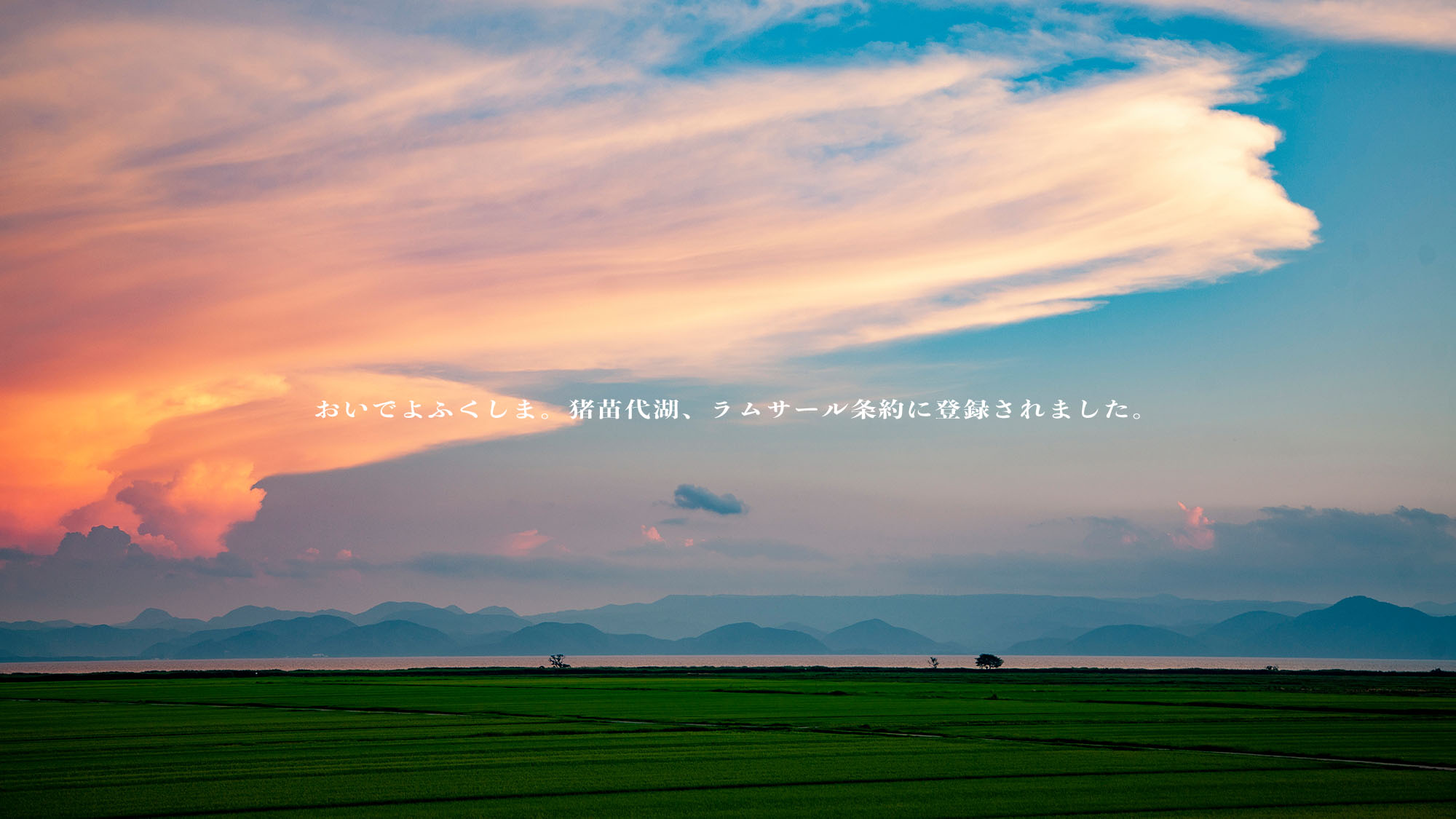 写真：メインビジュアル２