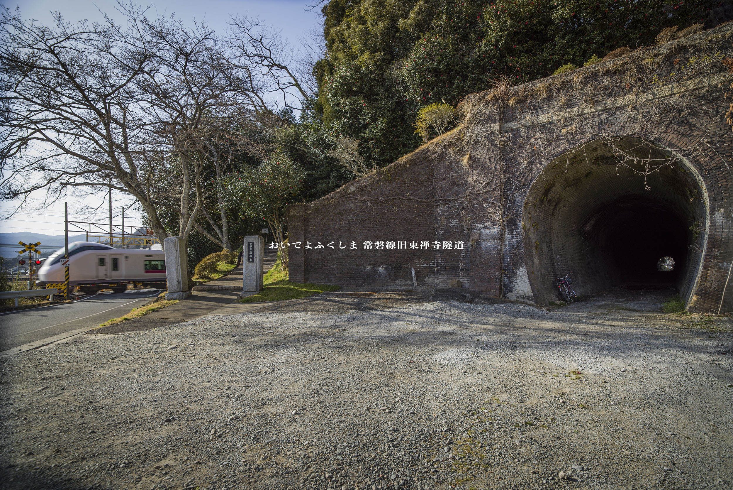 写真：メインビジュアル４