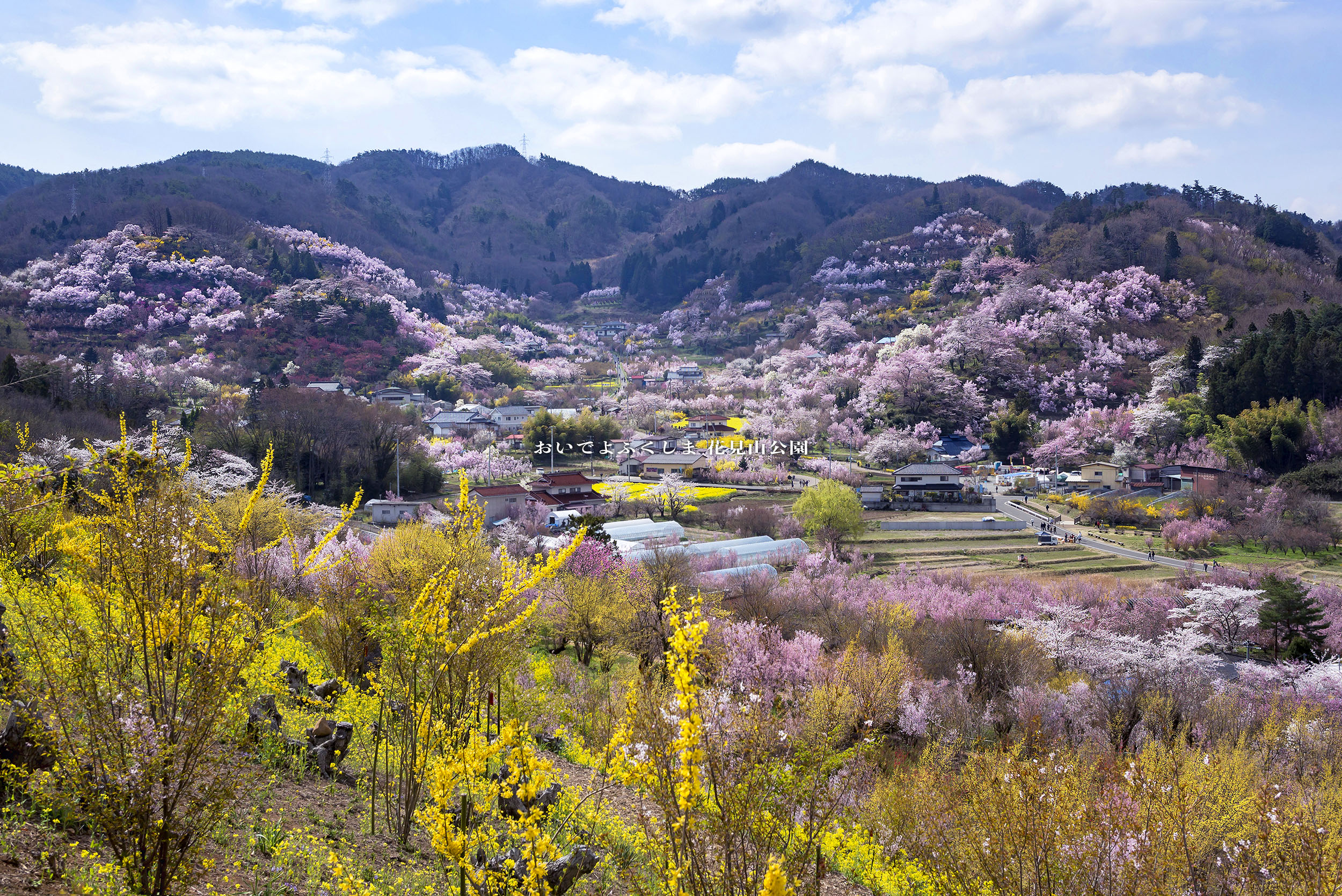 写真：メインビジュアル１